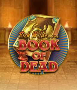 Начните захватывающий мир Book of Dead от Play'n GO, показывающий яркую графику путешествия Рича Уайлда по древнеегипетским гробницам и артефактам. Найдите затерянные богатства с захватывающими механиками, такими как бесплатные вращения, расширяющиеся символы и возможность игры на риск. Идеально для исследователей, желающих волнующих находок.